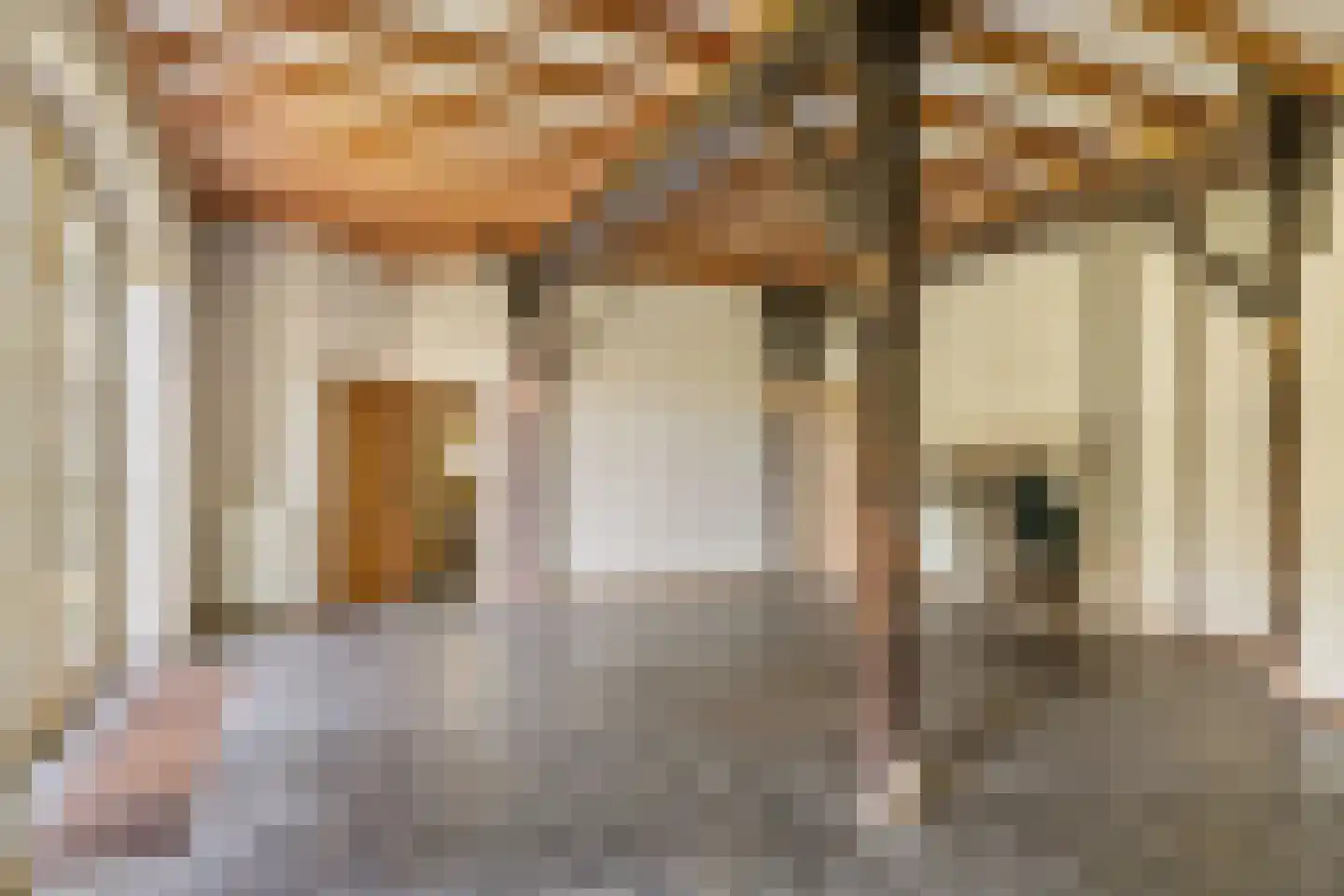 Kanaaldijk West 45 Schalkhaar thumbnail 6