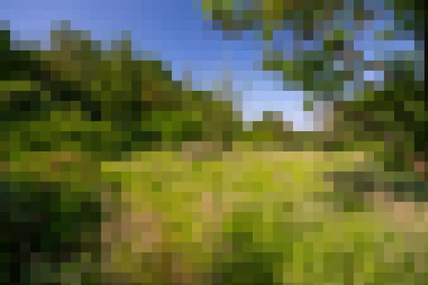 Kanaaldijk West 45 Schalkhaar thumbnail 63