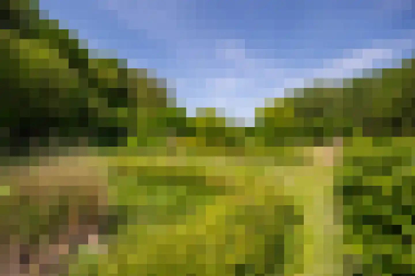Kanaaldijk West 45 Schalkhaar thumbnail 64