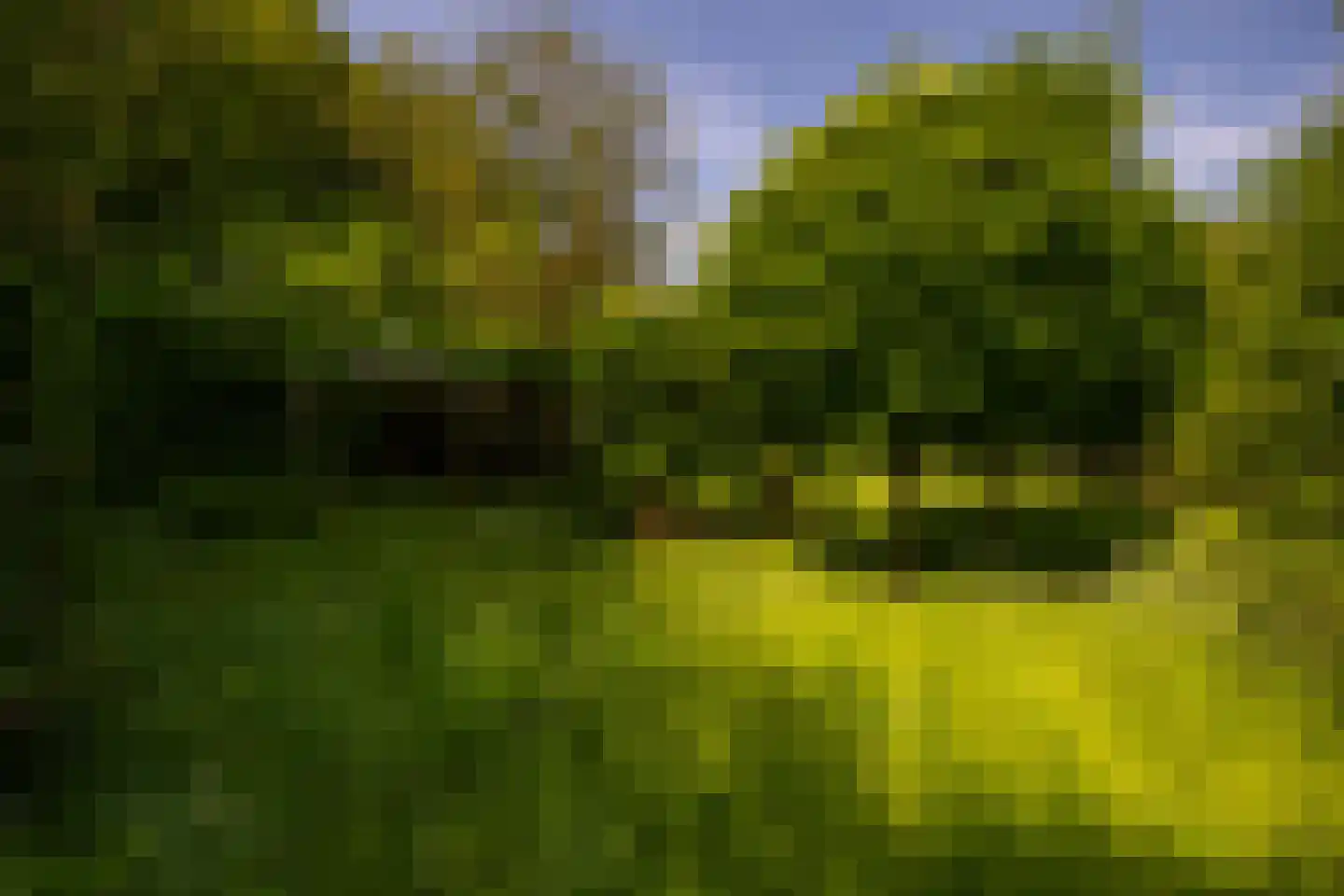 Kanaaldijk West 45 Schalkhaar thumbnail 65