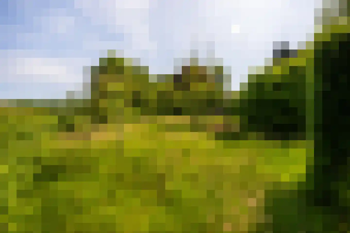 Kanaaldijk West 45 Schalkhaar thumbnail 67