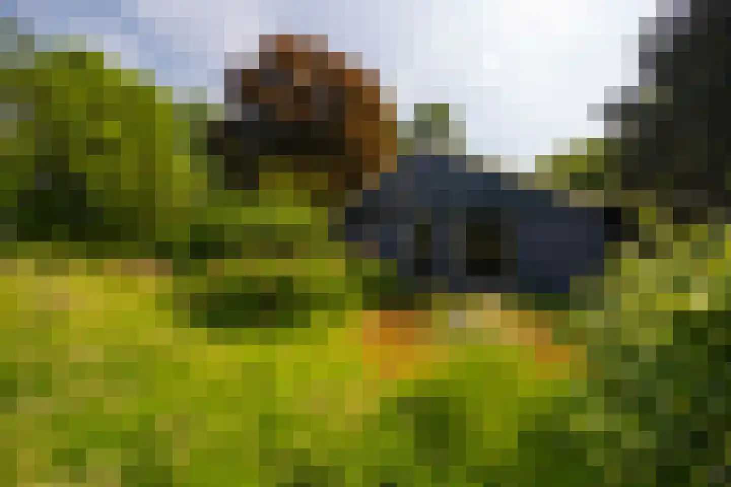 Kanaaldijk West 45 Schalkhaar thumbnail 68