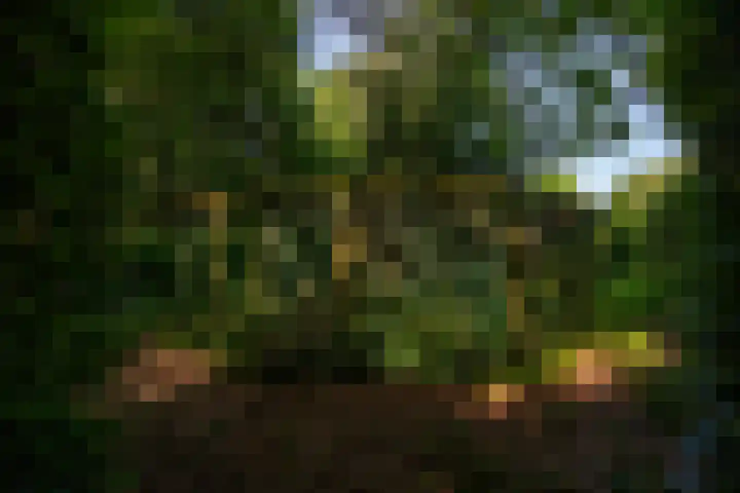 Kanaaldijk West 45 Schalkhaar thumbnail 69