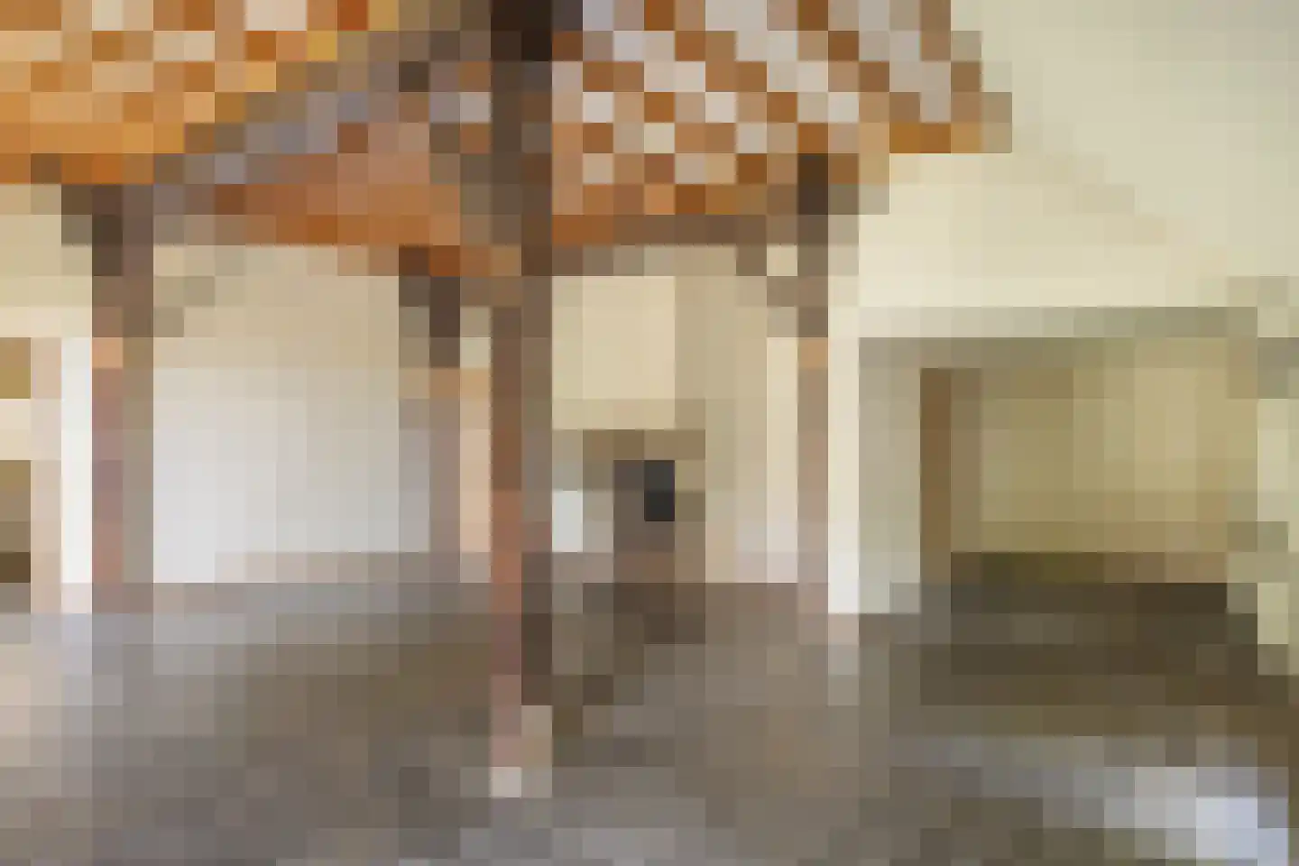 Kanaaldijk West 45 Schalkhaar thumbnail 7