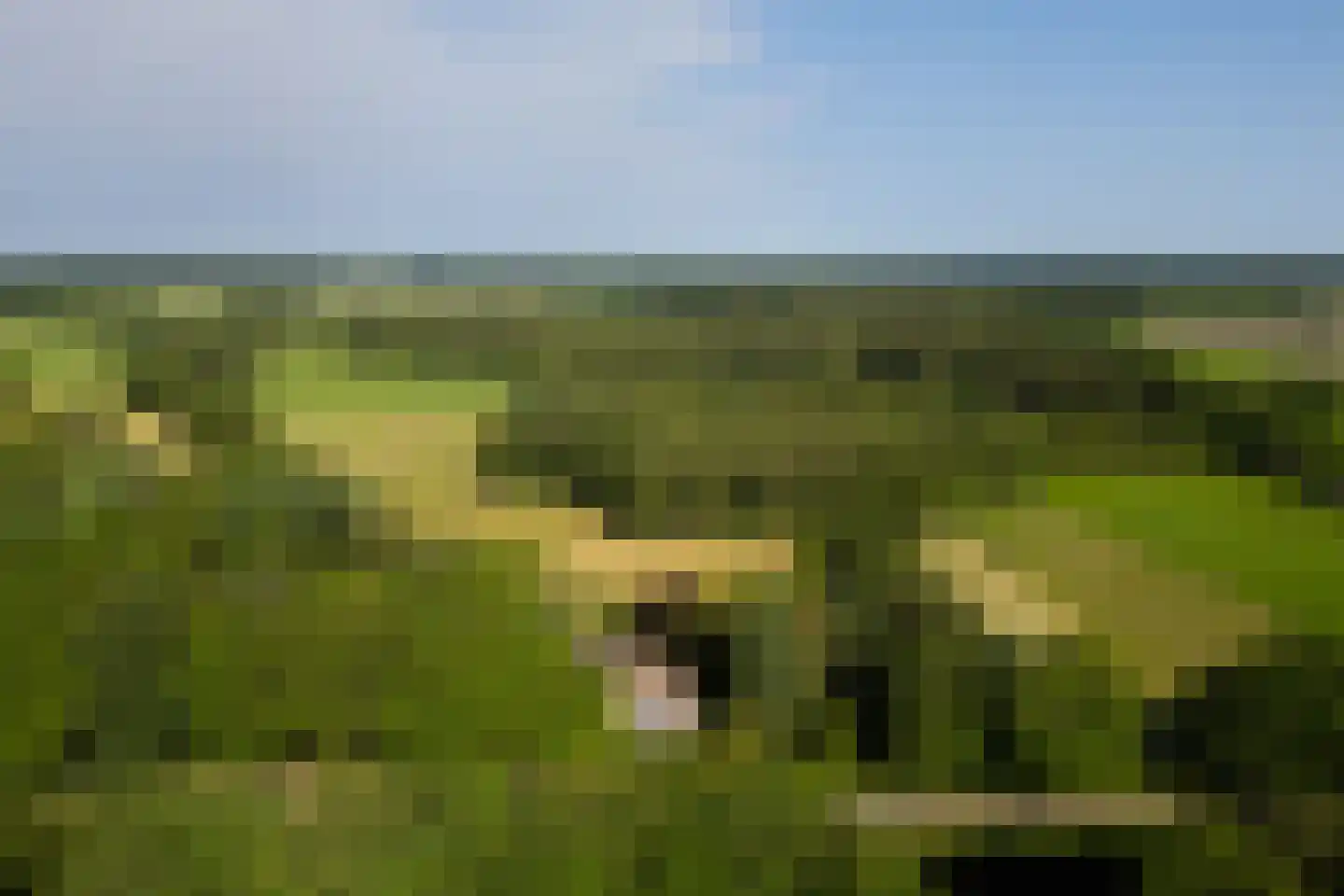 Kanaaldijk West 45 Schalkhaar thumbnail 71