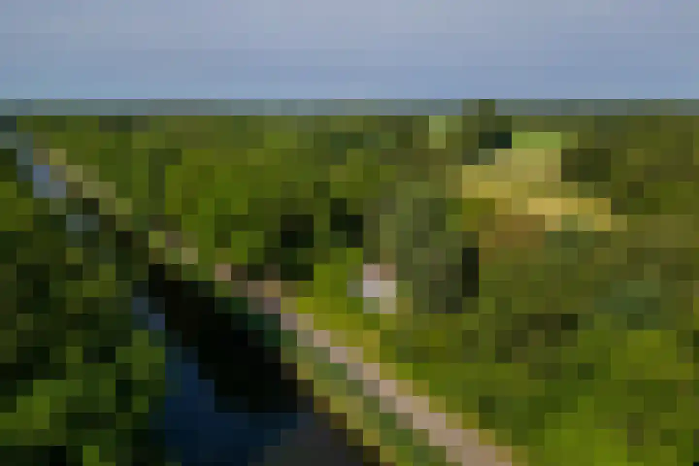 Kanaaldijk West 45 Schalkhaar thumbnail 72