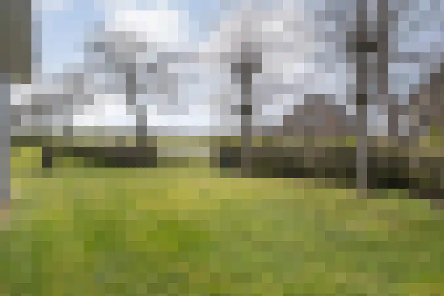 Kanaaldijk-zuid 1 Heino thumbnail 45