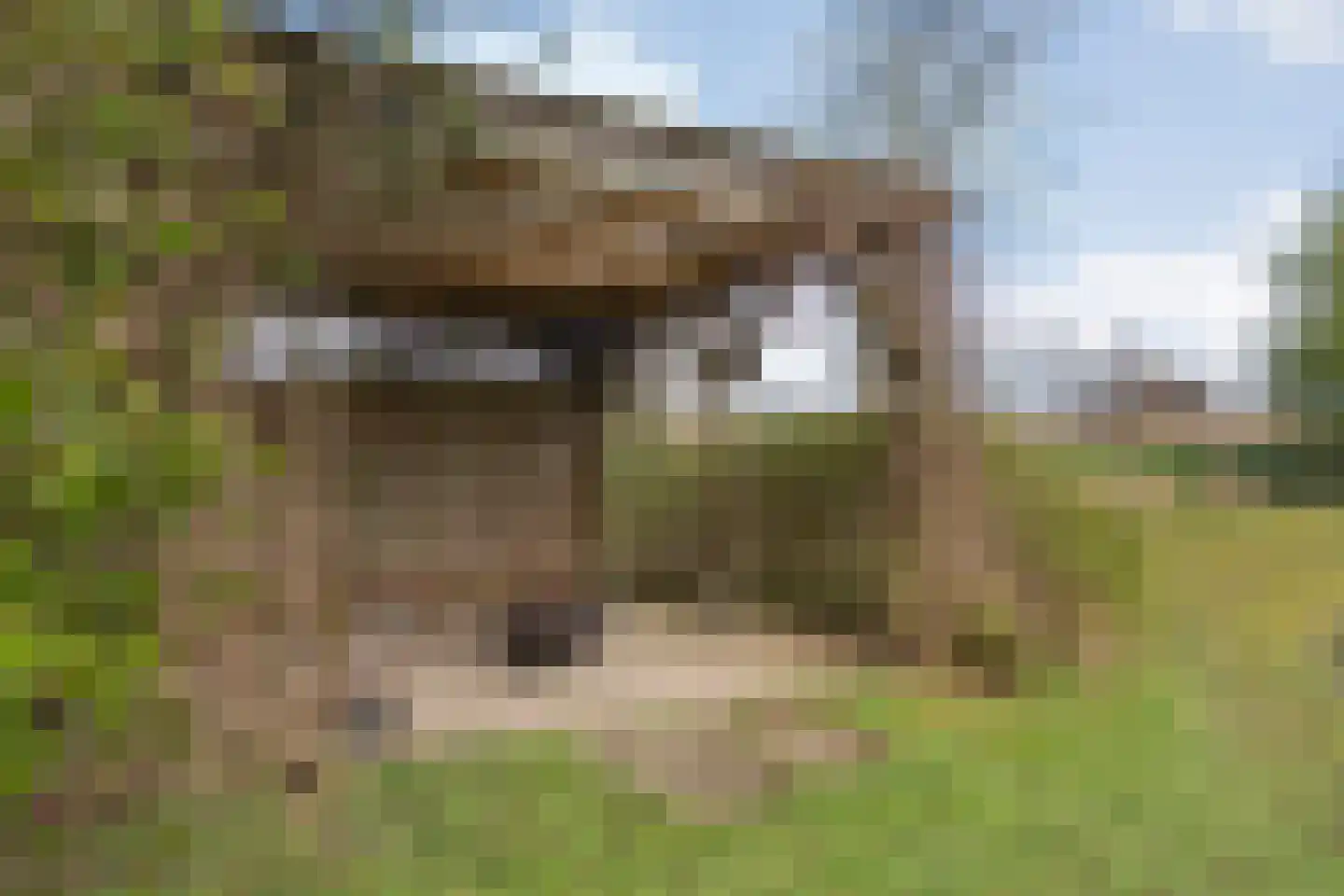 Kanaaldijk-zuid 1 Heino thumbnail 52