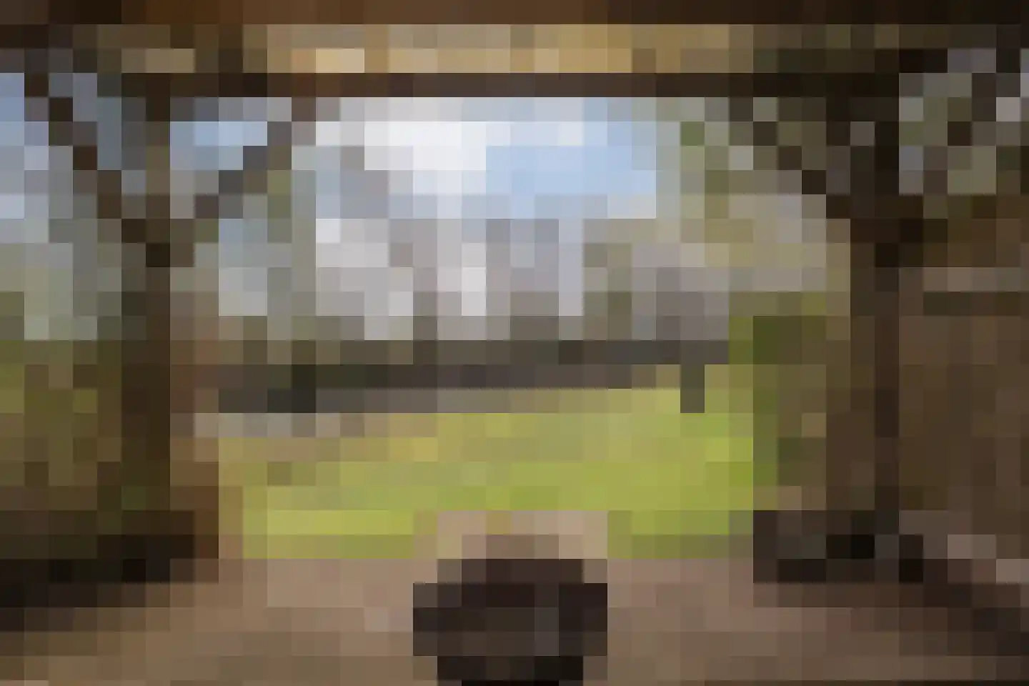 Kanaaldijk-zuid 1 Heino thumbnail 53