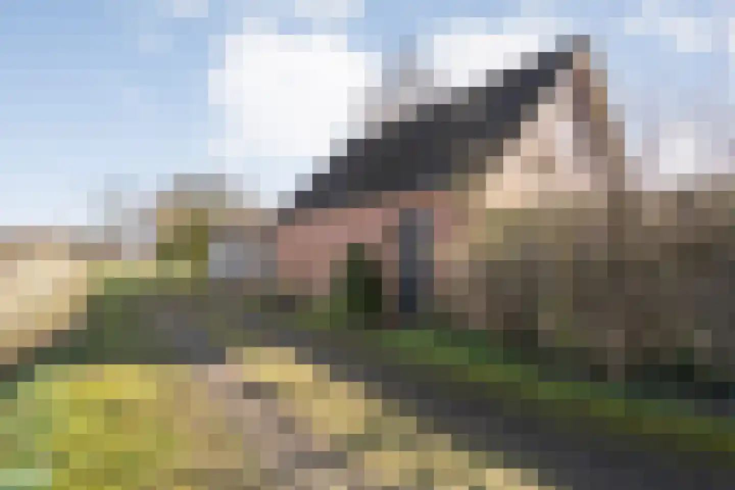 Kanaaldijk-zuid 1 Heino thumbnail 6