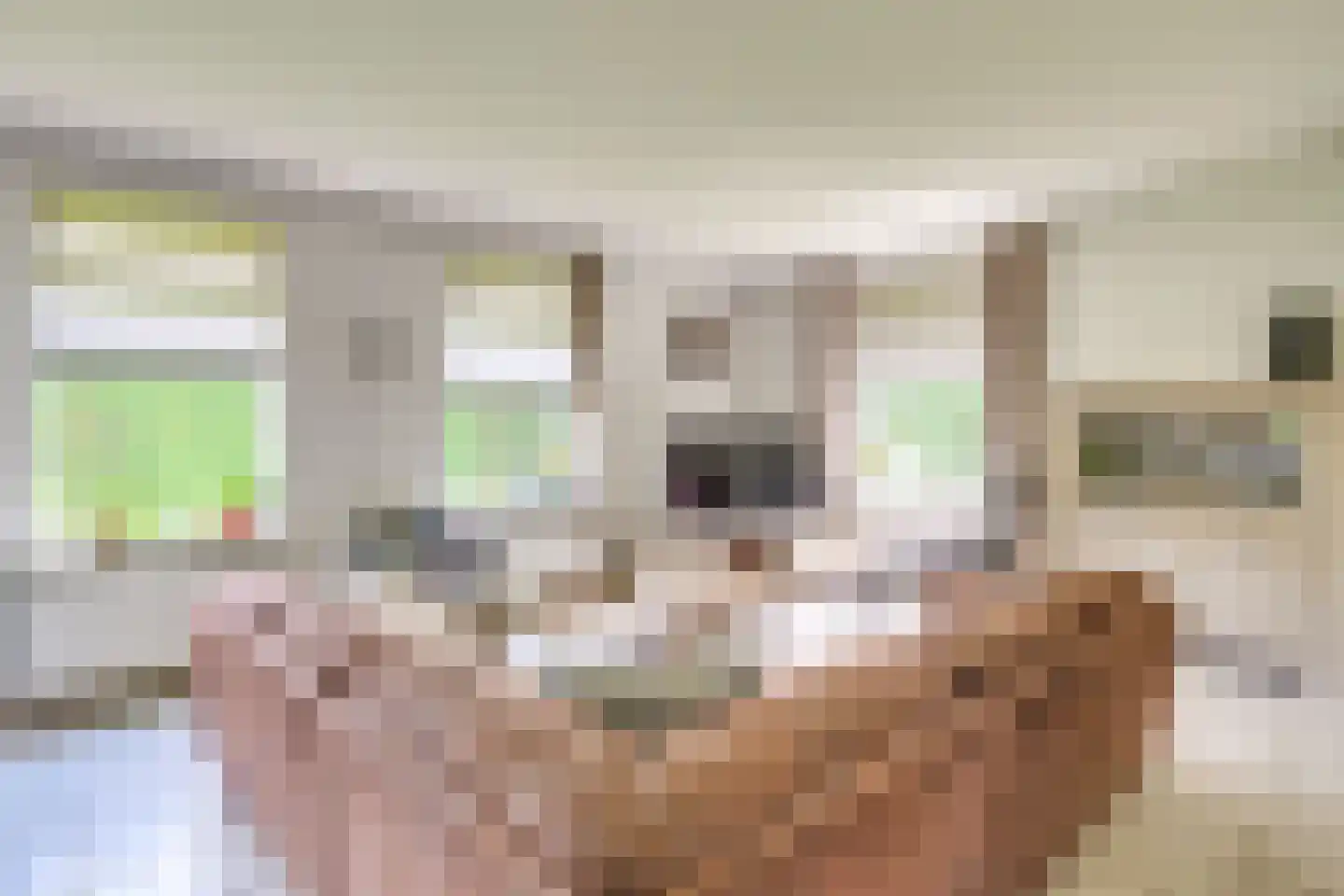 Kanaaldijk-zuid 69 Someren thumbnail 23