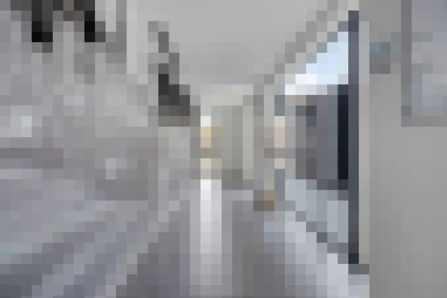 Kanaaldijk-Zuid 7 45 Eindhoven thumbnail 8