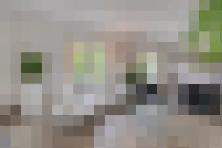 Kanaaldreef 1 Philippine thumbnail 10