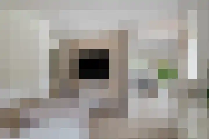 Kanaaldreef 1 Philippine thumbnail 15