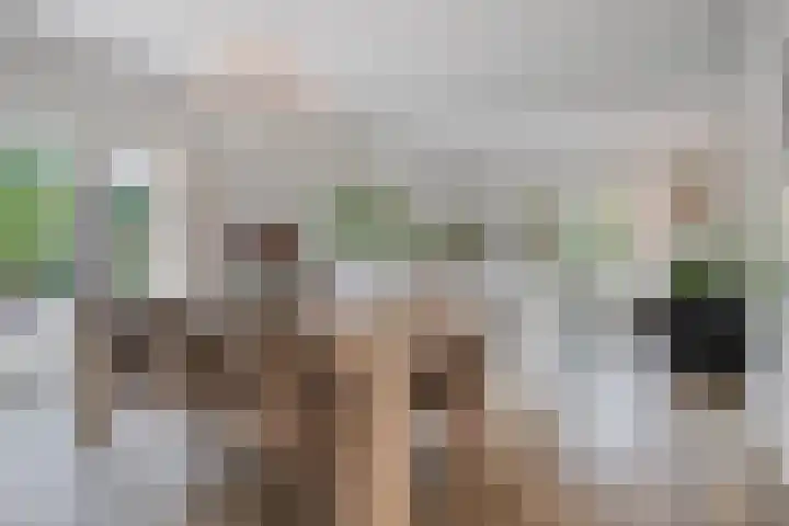 Kanaaldreef 1 Philippine thumbnail 18