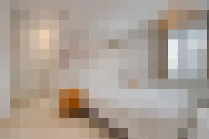 Kanaaldreef 1 Philippine thumbnail 27