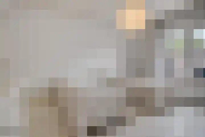 Kanaaldreef 1 Philippine thumbnail 32