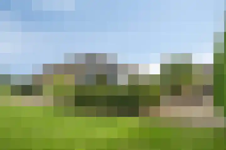 Kanaaldreef 1 Philippine thumbnail 4