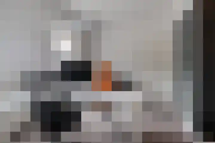 Kanaaldreef 1 Philippine thumbnail 40
