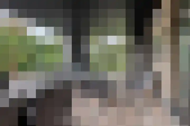 Kanaaldreef 1 Philippine thumbnail 41