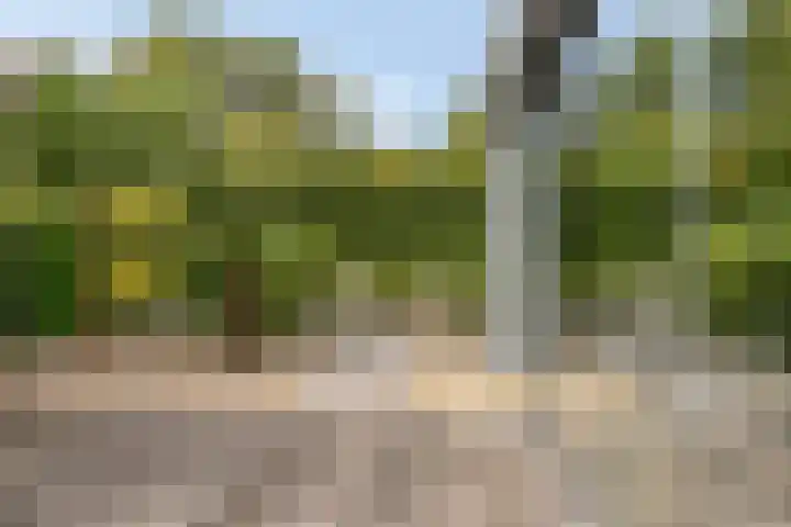 Kanaaldreef 1 Philippine thumbnail 45