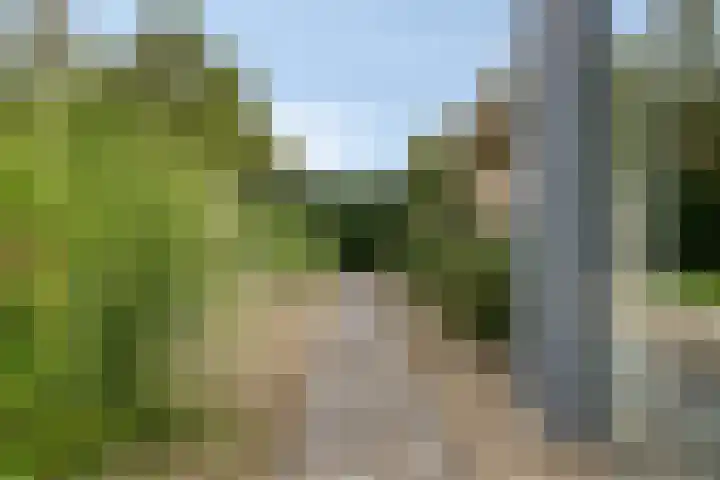 Kanaaldreef 1 Philippine thumbnail 46