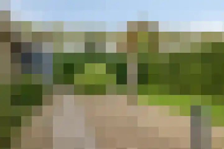 Kanaaldreef 1 Philippine thumbnail 49
