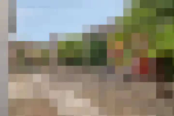 Kanaaldreef 1 Philippine thumbnail 50