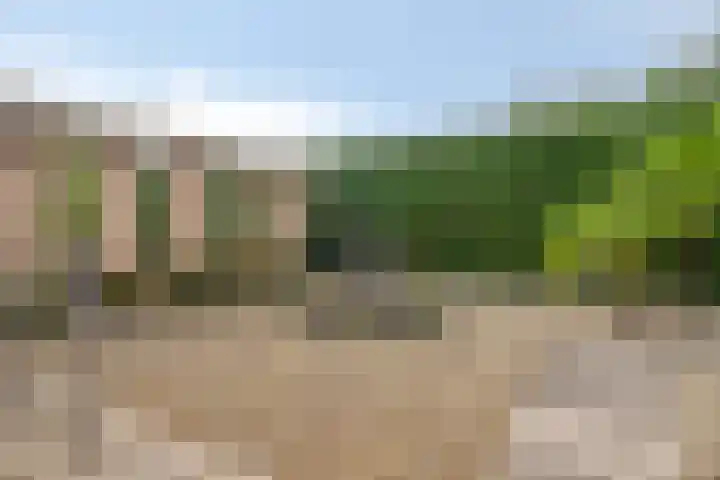Kanaaldreef 1 Philippine thumbnail 52