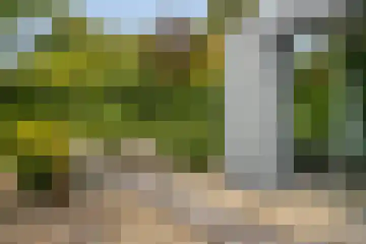 Kanaaldreef 1 Philippine thumbnail 6