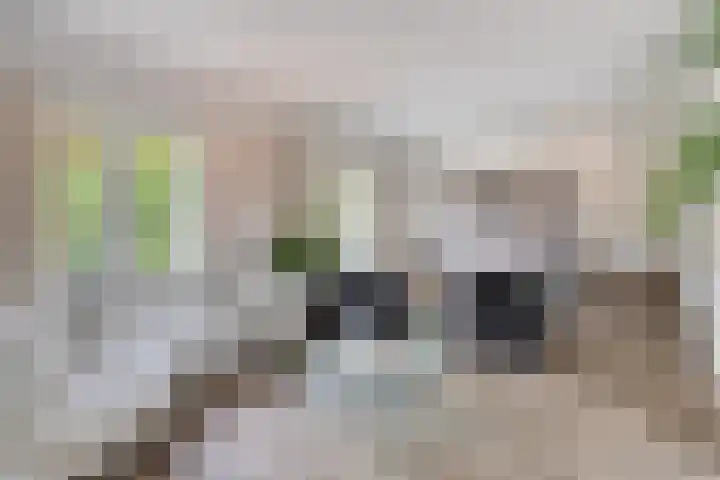 Kanaaldreef 1 Philippine thumbnail 9