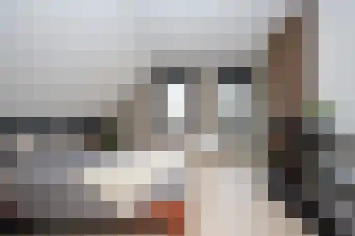 Kanaaldreef 3 Philippine thumbnail 11
