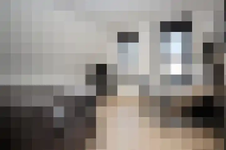 Kanaaldreef 3 Philippine thumbnail 13