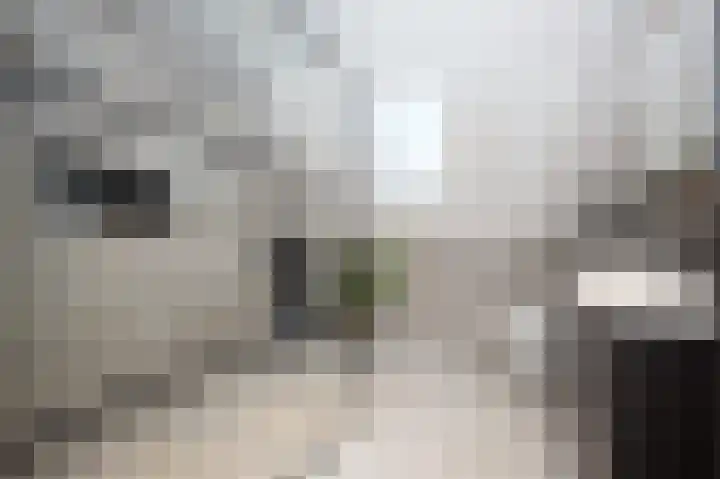 Kanaaldreef 3 Philippine thumbnail 14
