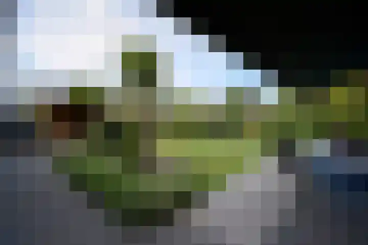 Kanaaldreef 3 Philippine thumbnail 4