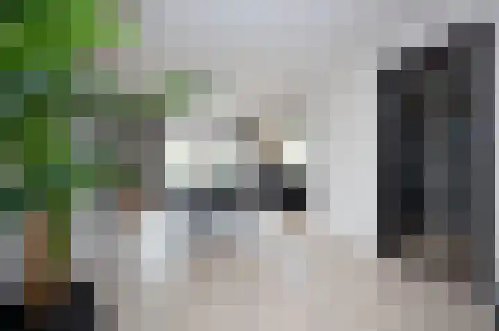 Kanaaldreef 3 Philippine thumbnail 7