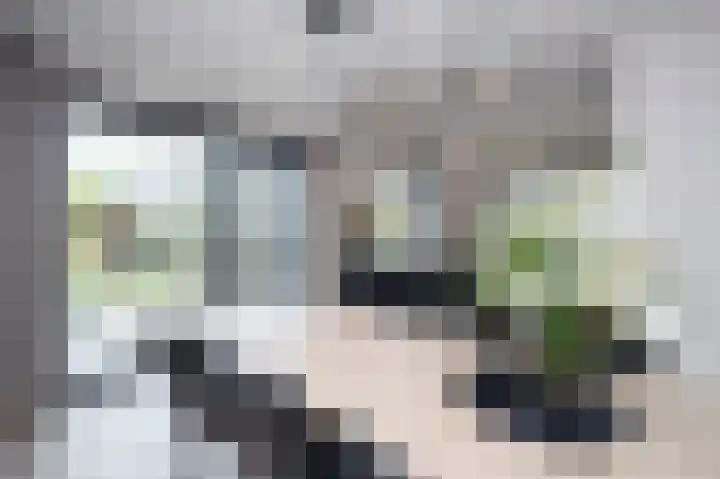 Kanaaldreef 3 Philippine thumbnail 8
