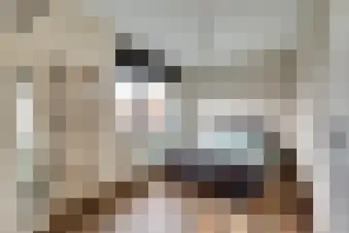 Kanaaljuffer 2 Enschede thumbnail 17