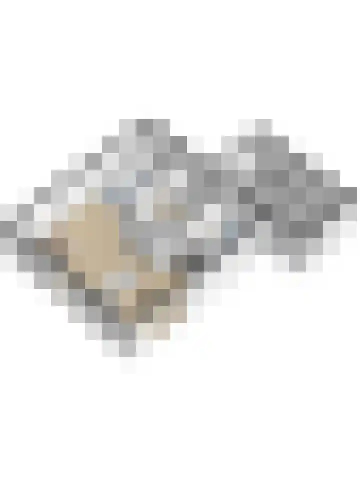 Kanaaljuffer 2 Enschede thumbnail 47