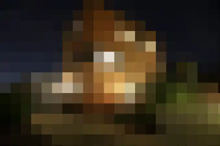 Kanaaljuffer 2 Enschede thumbnail 5