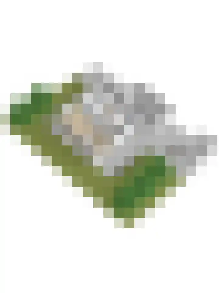 Kanaaljuffer 2 Enschede thumbnail 50