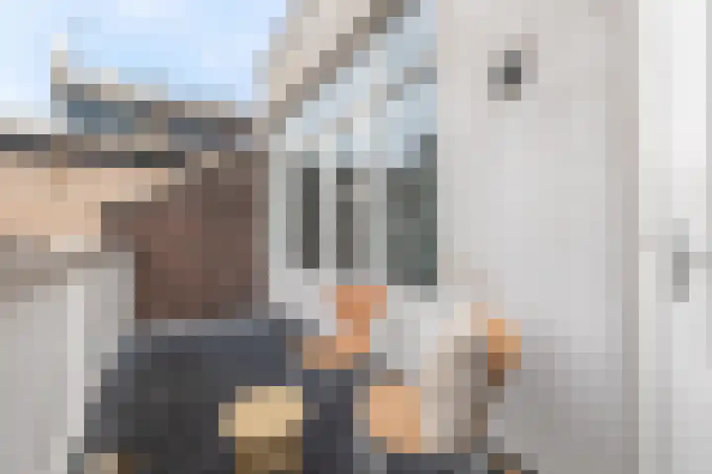 Kanaalkade 10 B Alkmaar thumbnail 28