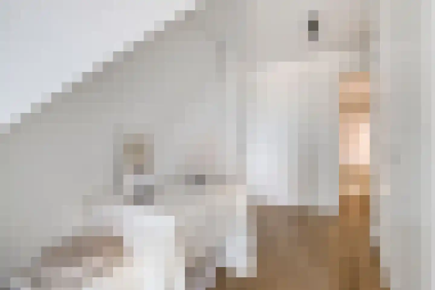 Kanaalkade 15 C Purmerend thumbnail 9