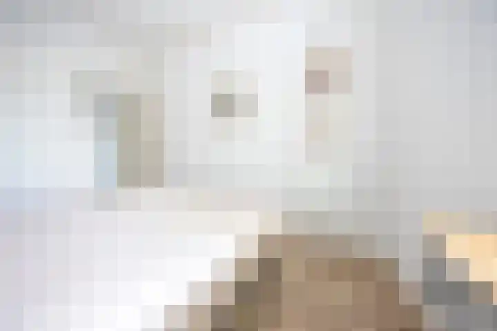 Kanaalkade 20 E Alkmaar thumbnail 17