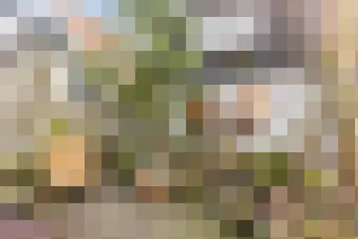 Kanaalkade 21 Warmenhuizen thumbnail 30
