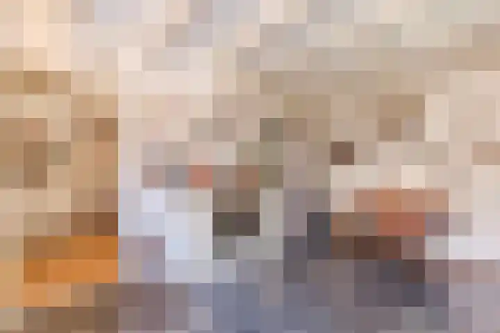 Kanaalkade 21 Warmenhuizen thumbnail 8