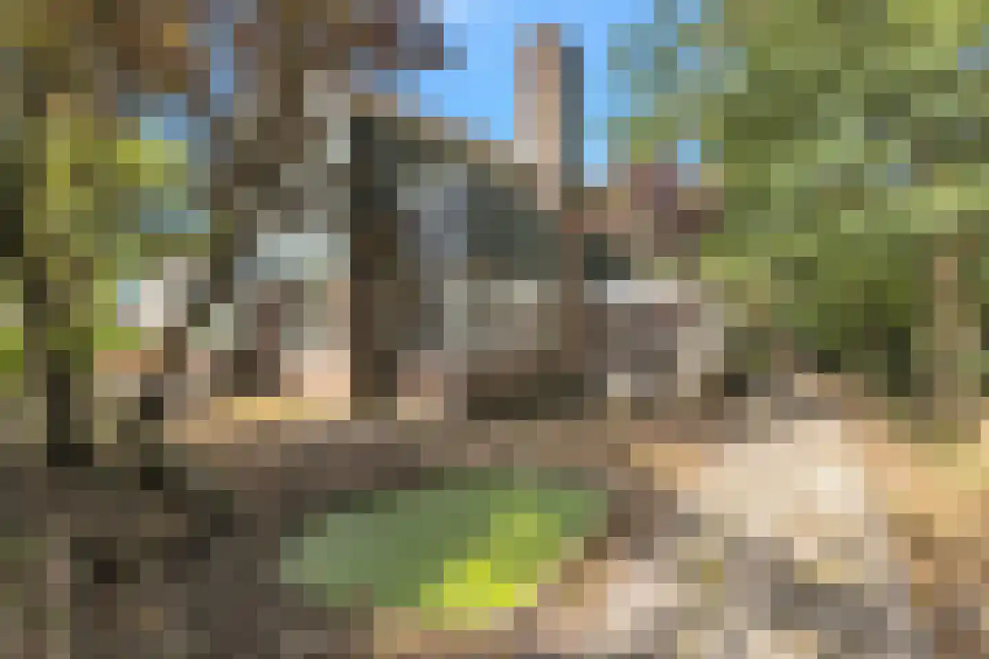 Kanaalkade 31 't Zand thumbnail 5