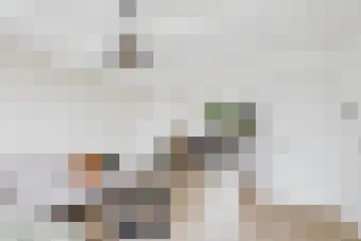 Kanaalkade 42 Axel thumbnail 10
