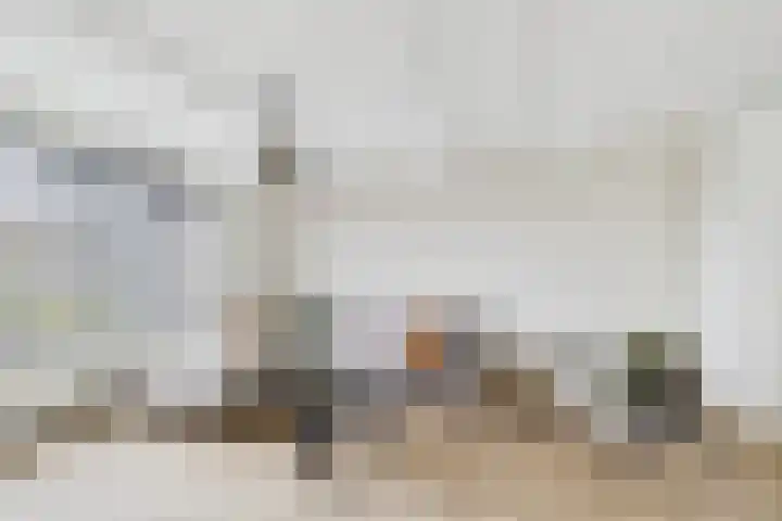 Kanaalkade 42 Axel thumbnail 11