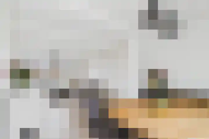 Kanaalkade 42 Axel thumbnail 12